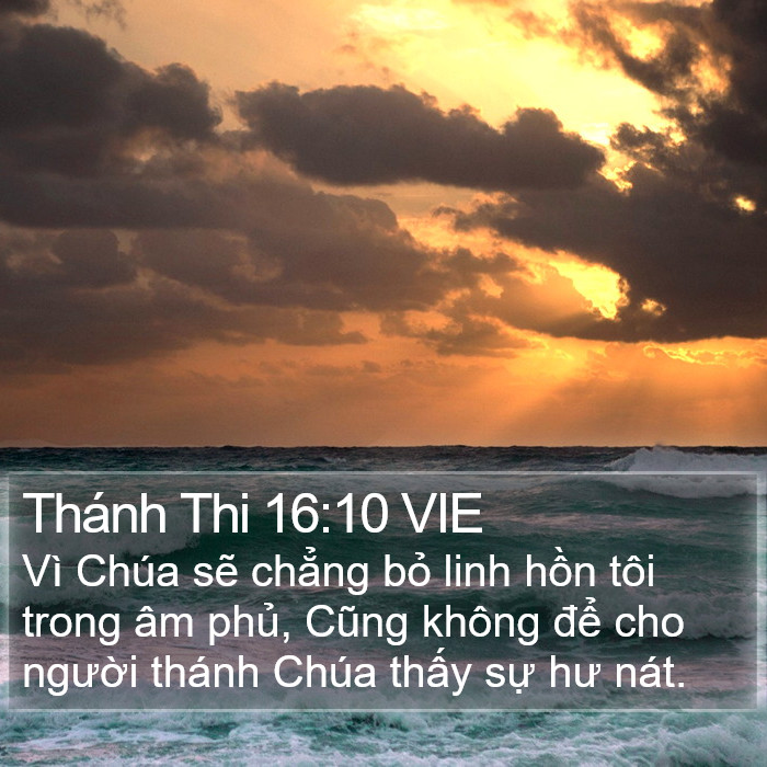 Thánh Thi 16:10 VIE Bible Study