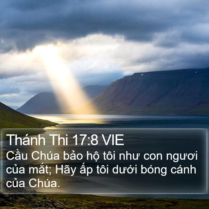 Thánh Thi 17:8 VIE Bible Study