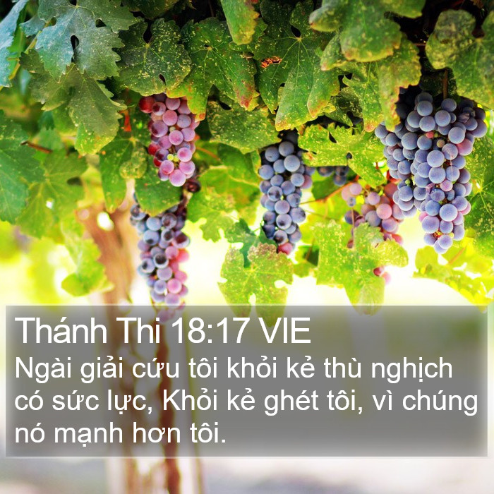 Thánh Thi 18:17 VIE Bible Study