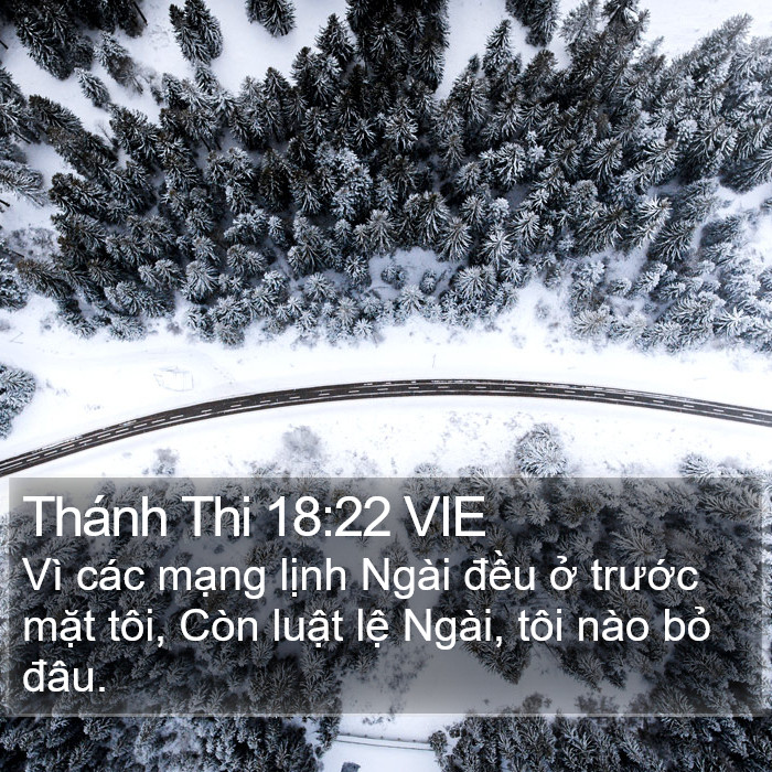 Thánh Thi 18:22 VIE Bible Study