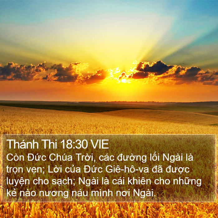 Thánh Thi 18:30 VIE Bible Study