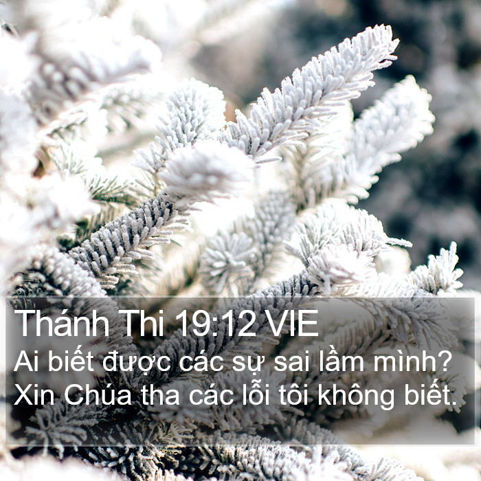 Thánh Thi 19:12 VIE Bible Study