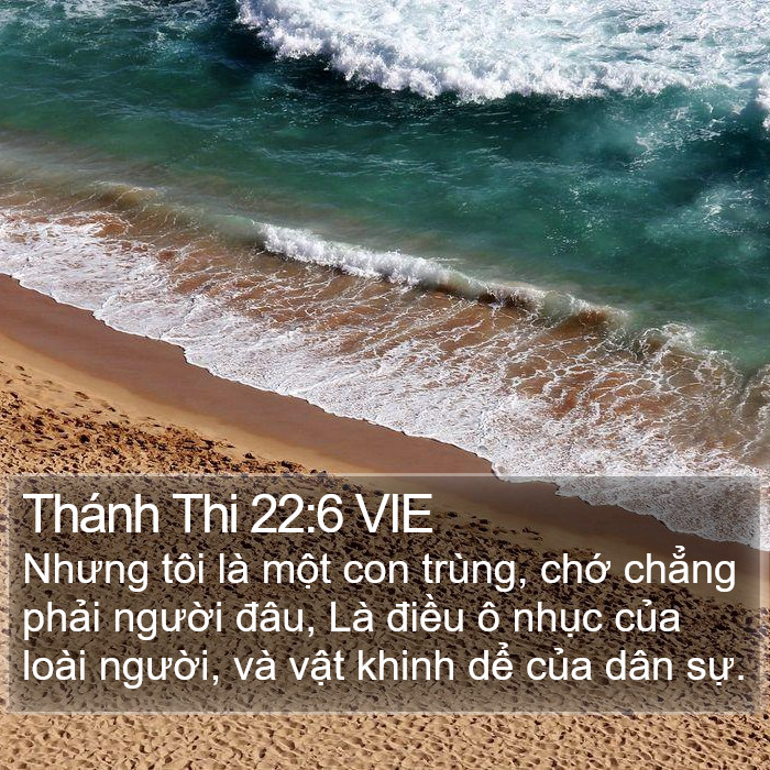 Thánh Thi 22:6 VIE Bible Study