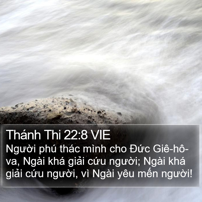 Thánh Thi 22:8 VIE Bible Study