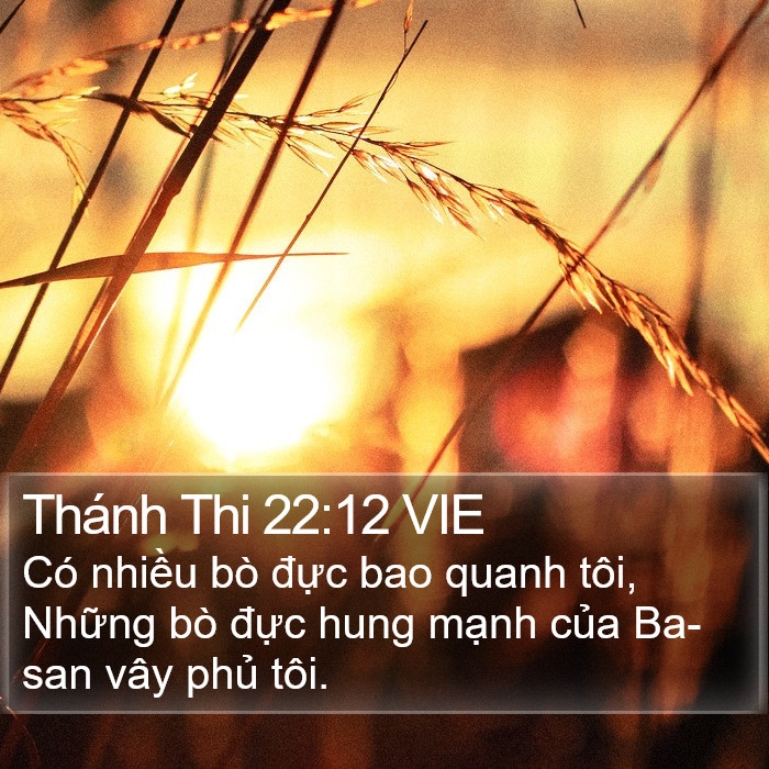 Thánh Thi 22:12 VIE Bible Study