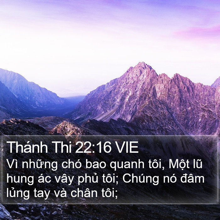 Thánh Thi 22:16 VIE Bible Study