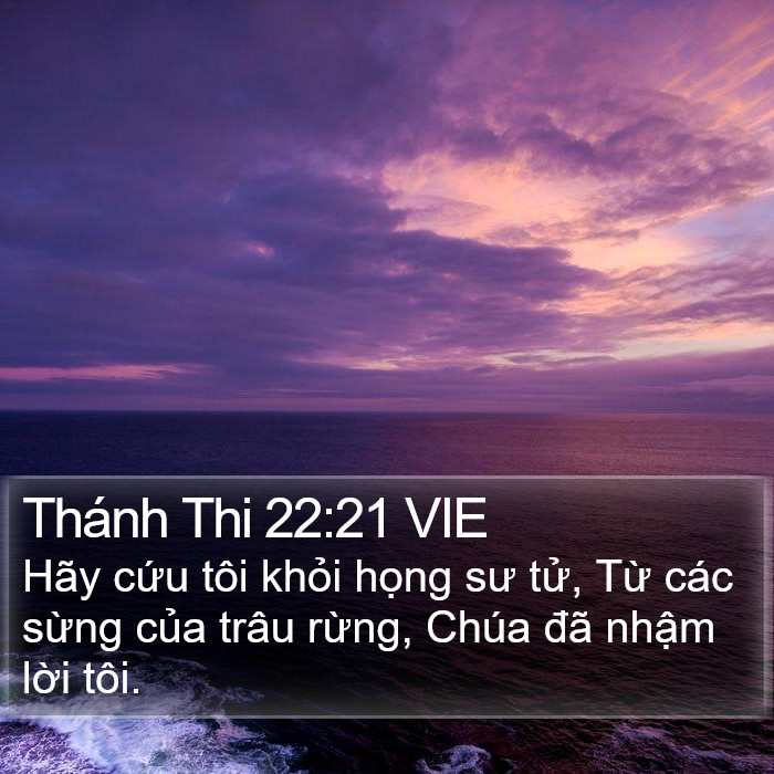 Thánh Thi 22:21 VIE Bible Study