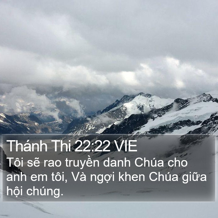 Thánh Thi 22:22 VIE Bible Study