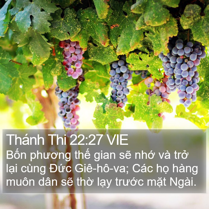 Thánh Thi 22:27 VIE Bible Study