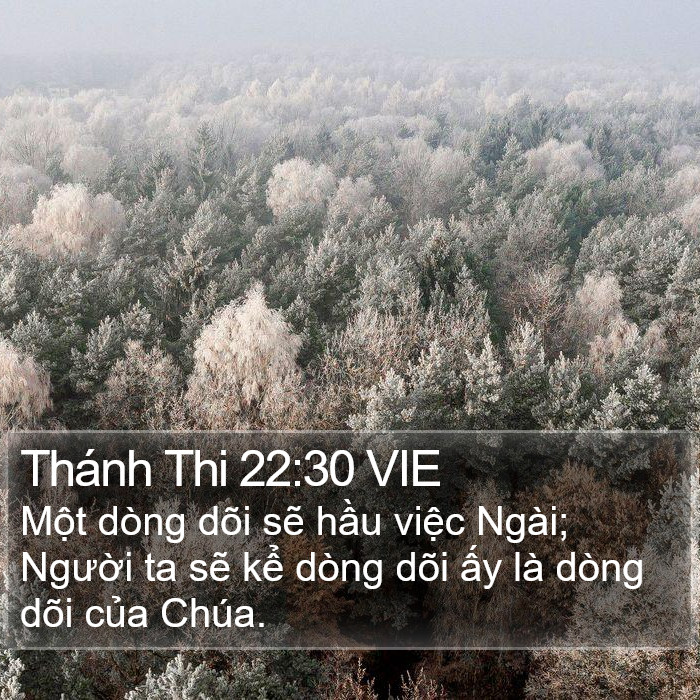 Thánh Thi 22:30 VIE Bible Study