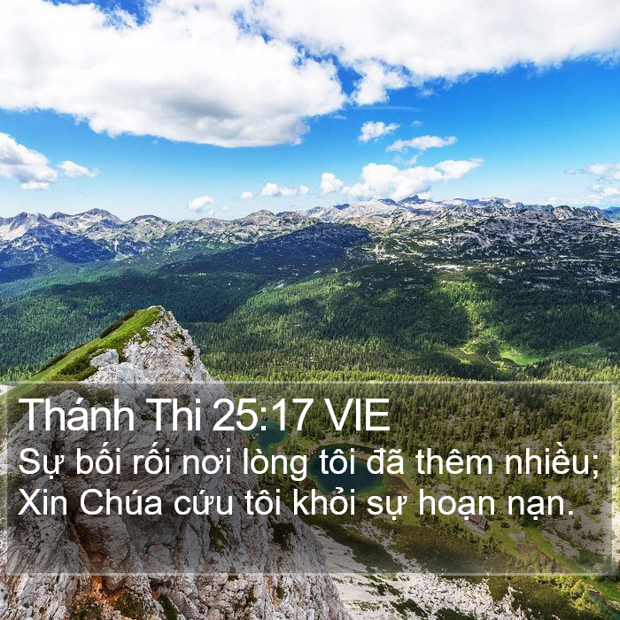 Thánh Thi 25:17 VIE Bible Study