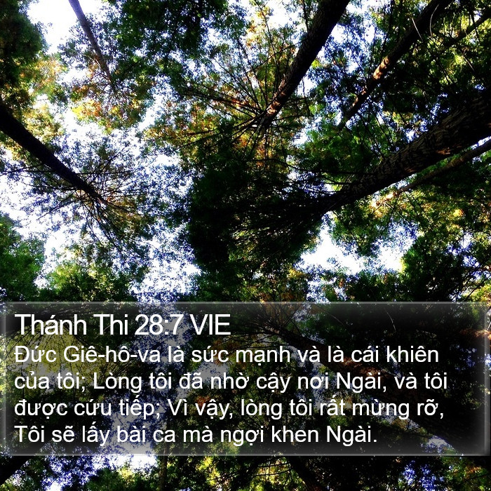 Thánh Thi 28:7 VIE Bible Study