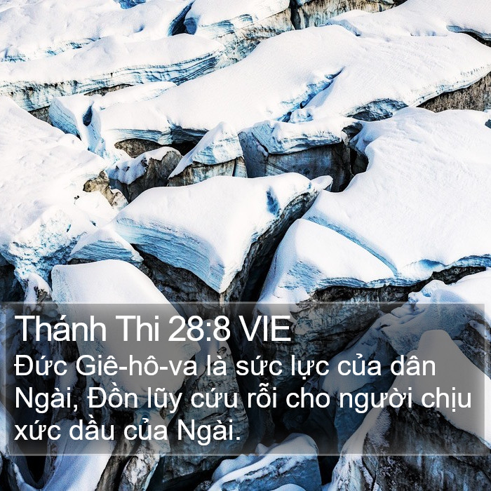 Thánh Thi 28:8 VIE Bible Study