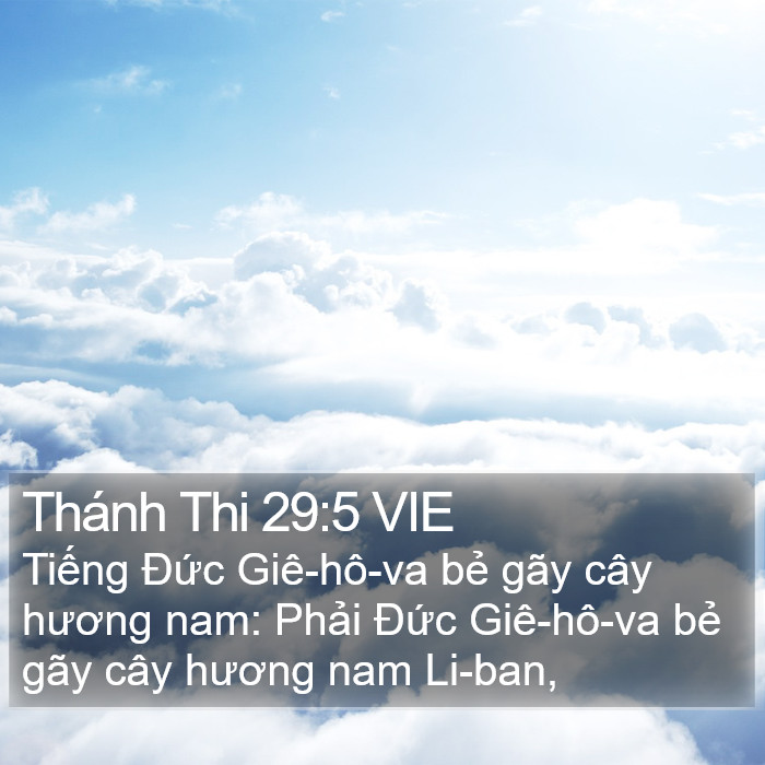 Thánh Thi 29:5 VIE Bible Study