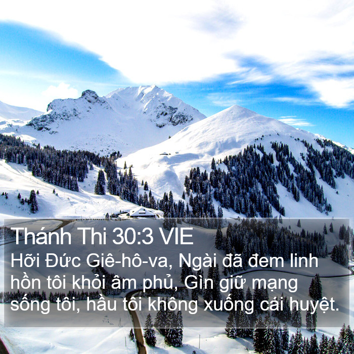 Thánh Thi 30:3 VIE Bible Study