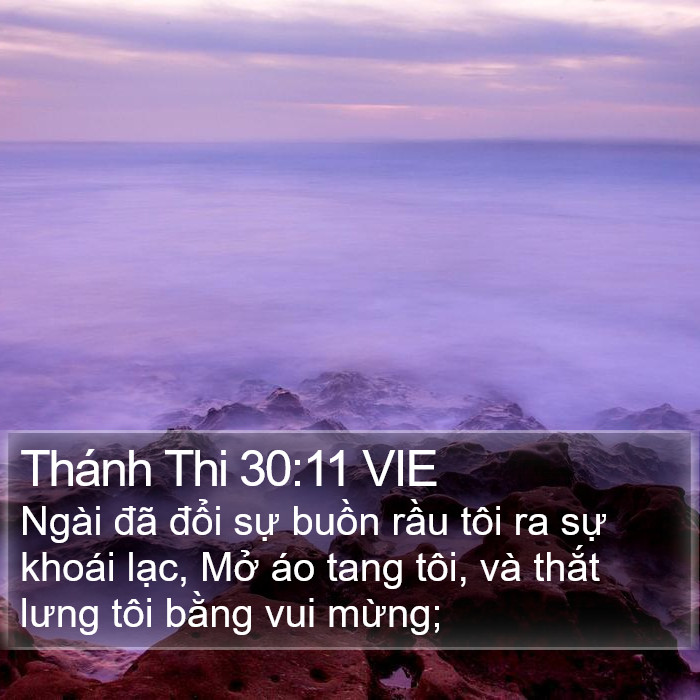 Thánh Thi 30:11 VIE Bible Study