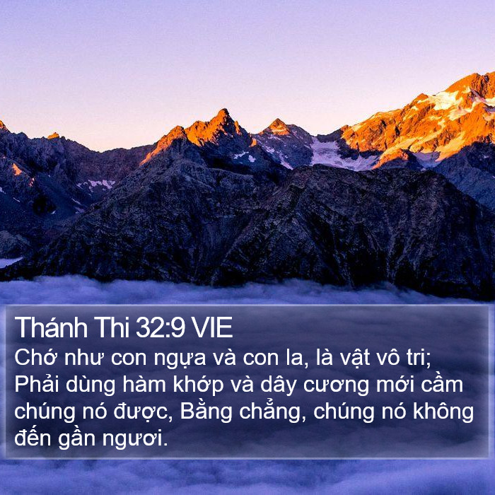 Thánh Thi 32:9 VIE Bible Study