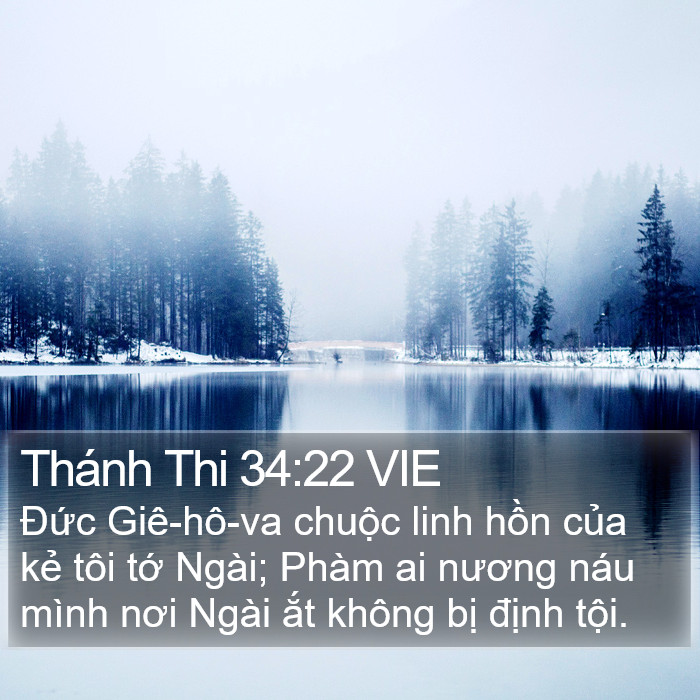 Thánh Thi 34:22 VIE Bible Study