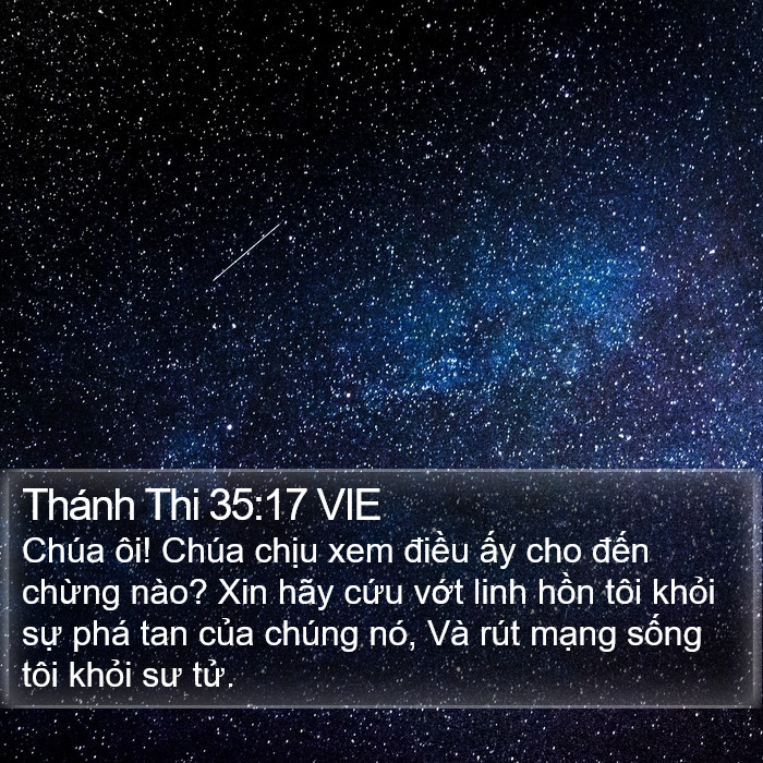 Thánh Thi 35:17 VIE Bible Study