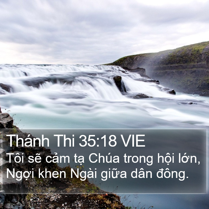 Thánh Thi 35:18 VIE Bible Study