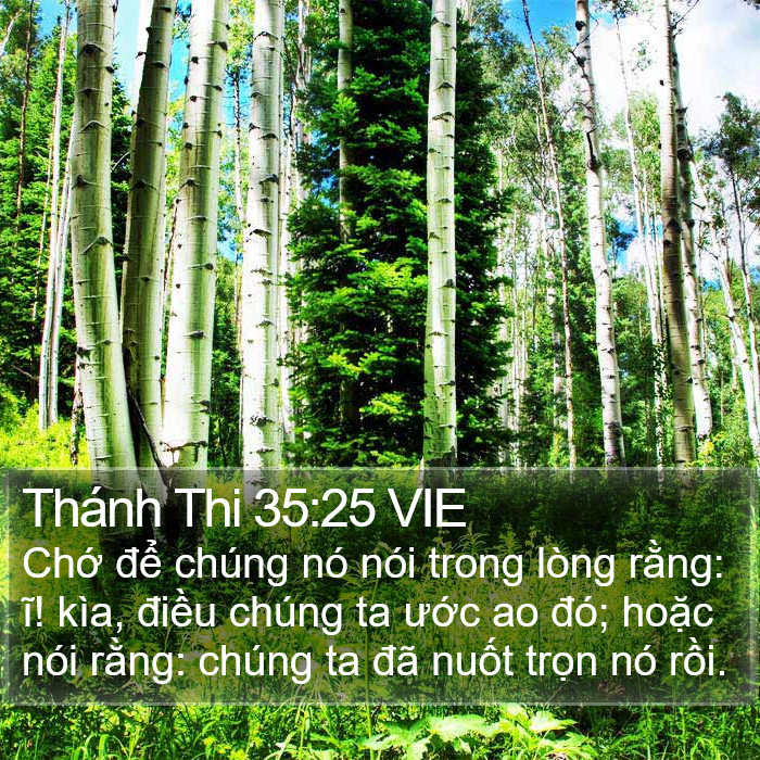 Thánh Thi 35:25 VIE Bible Study