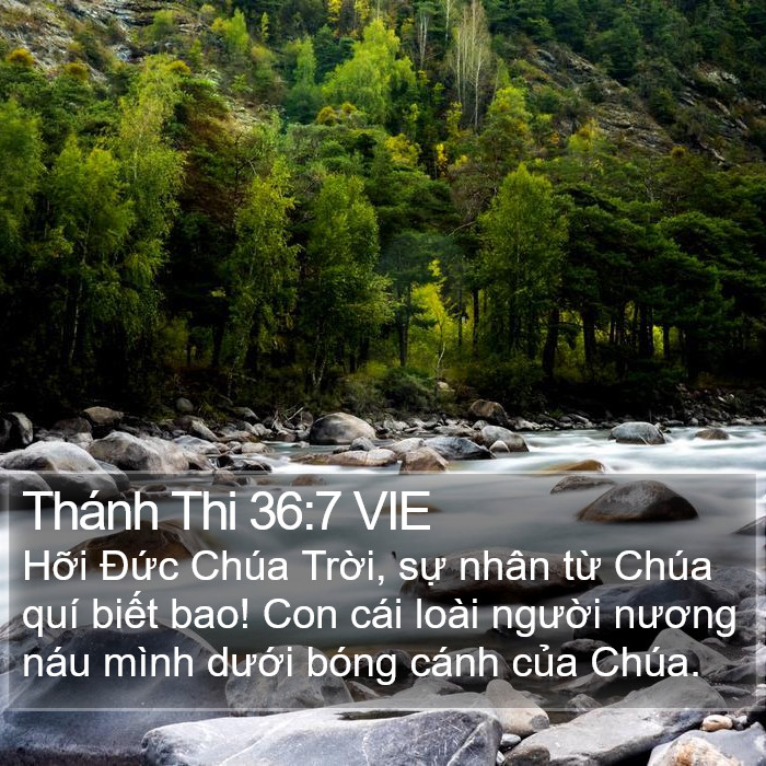 Thánh Thi 36:7 VIE Bible Study