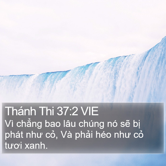 Thánh Thi 37:2 VIE Bible Study