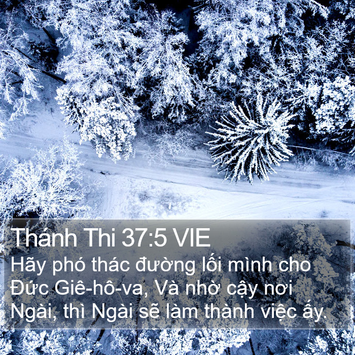 Thánh Thi 37:5 VIE Bible Study