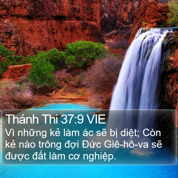 Thánh Thi 37:9 VIE Bible Study