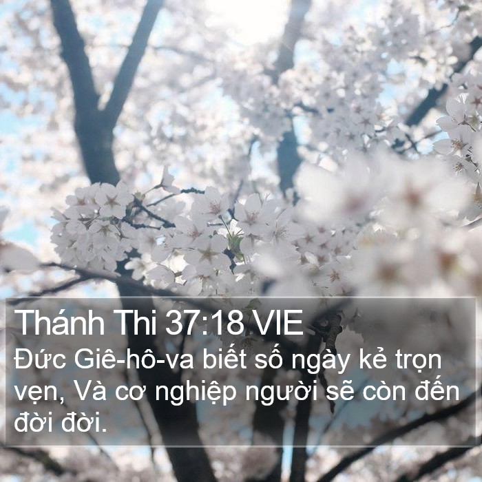 Thánh Thi 37:18 VIE Bible Study