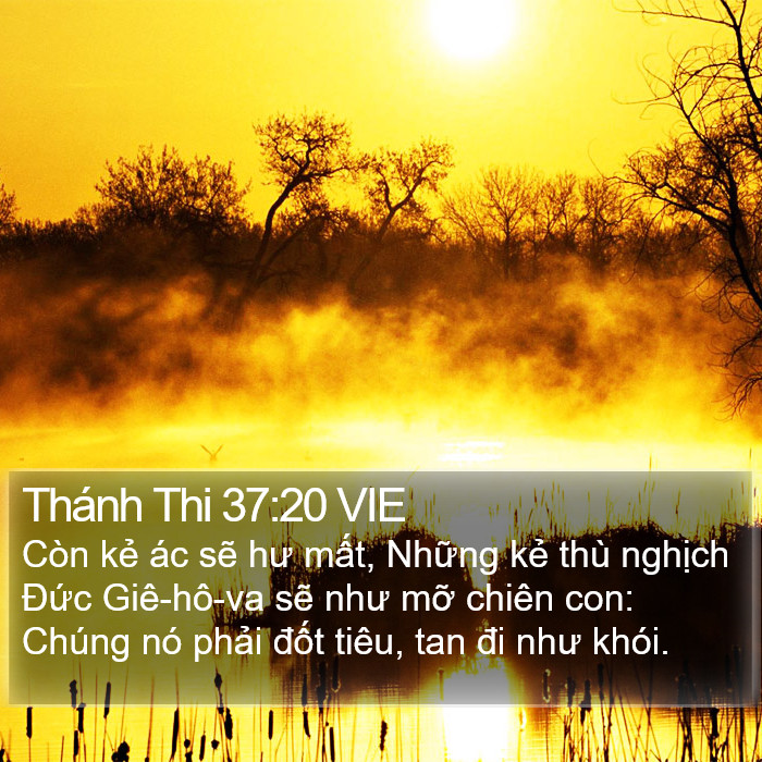 Thánh Thi 37:20 VIE Bible Study