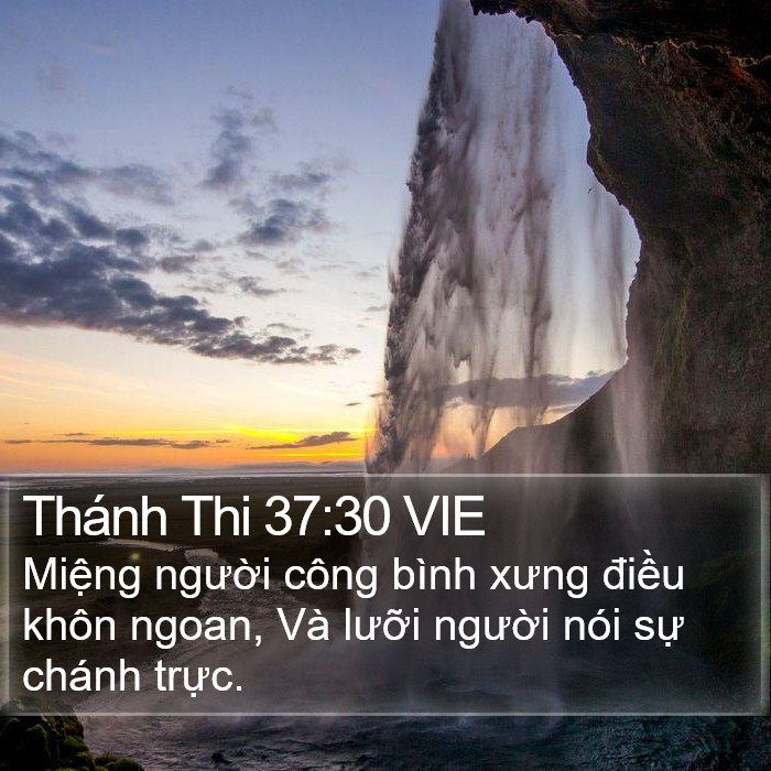 Thánh Thi 37:30 VIE Bible Study