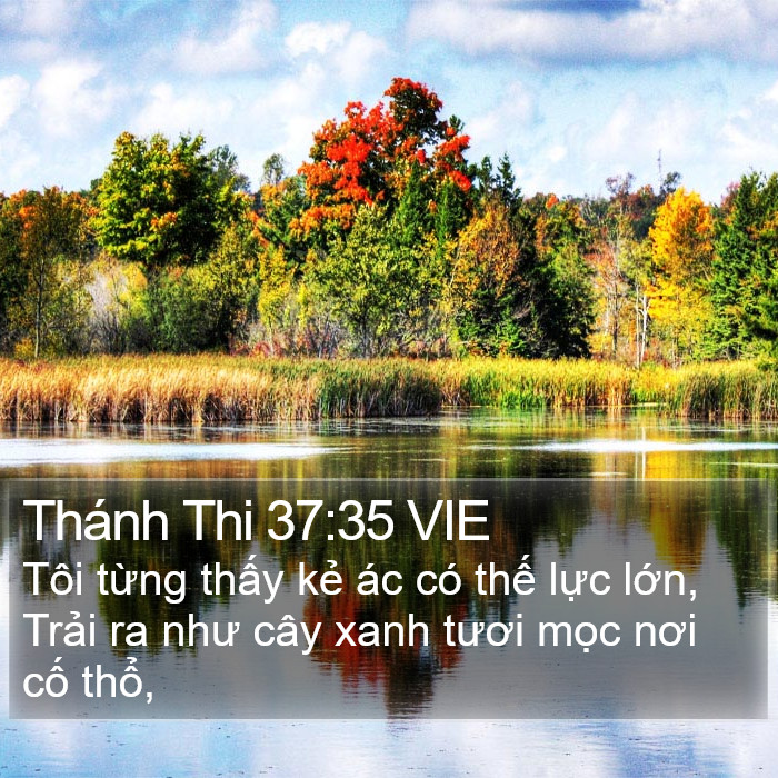 Thánh Thi 37:35 VIE Bible Study