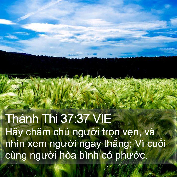 Thánh Thi 37:37 VIE Bible Study