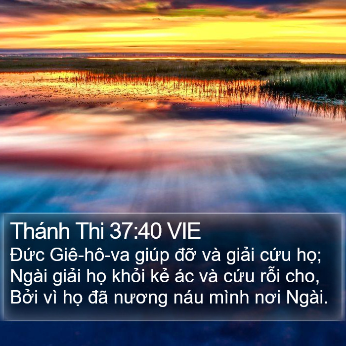 Thánh Thi 37:40 VIE Bible Study