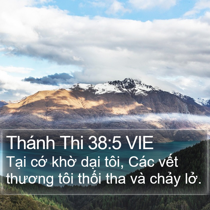 Thánh Thi 38:5 VIE Bible Study