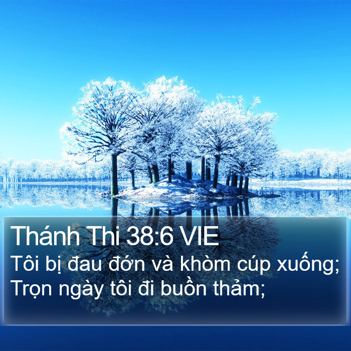 Thánh Thi 38:6 VIE Bible Study