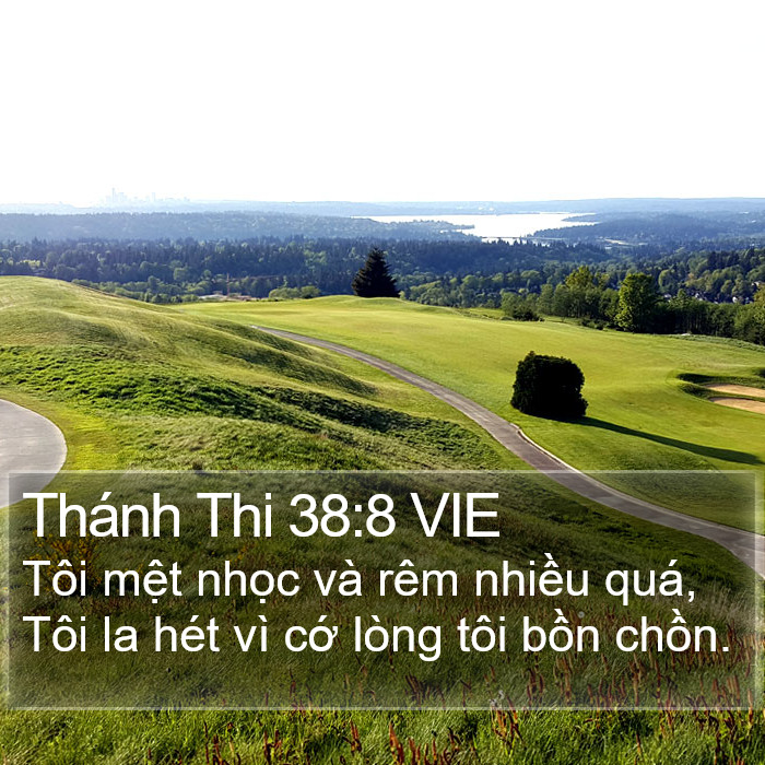 Thánh Thi 38:8 VIE Bible Study