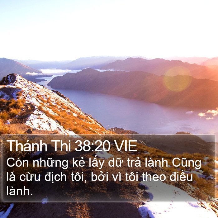 Thánh Thi 38:20 VIE Bible Study