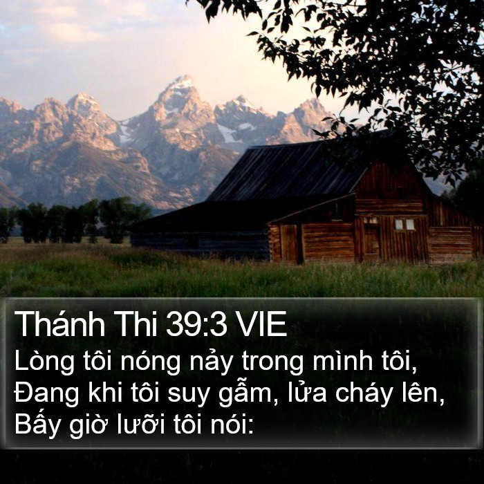 Thánh Thi 39:3 VIE Bible Study