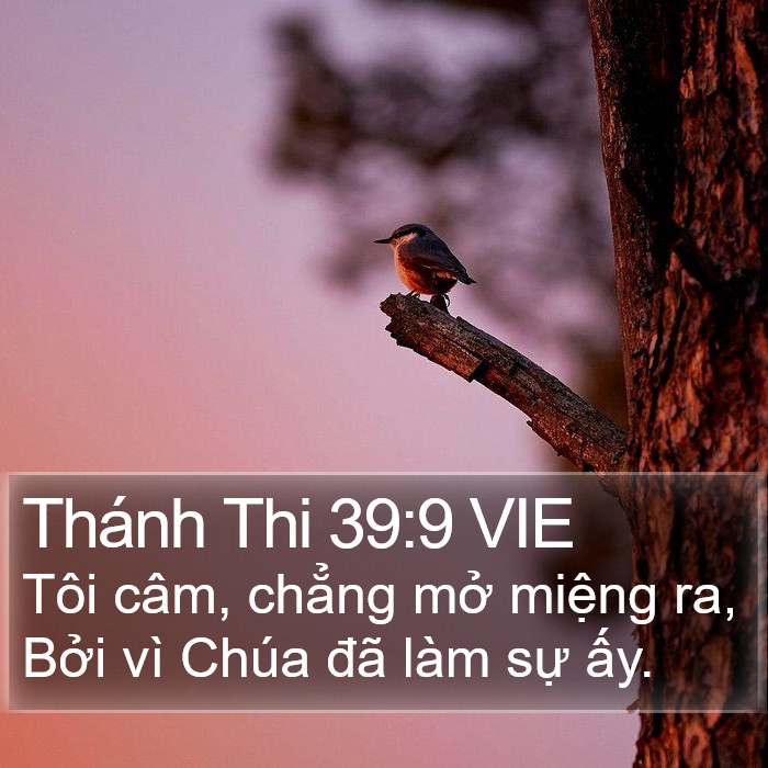 Thánh Thi 39:9 VIE Bible Study