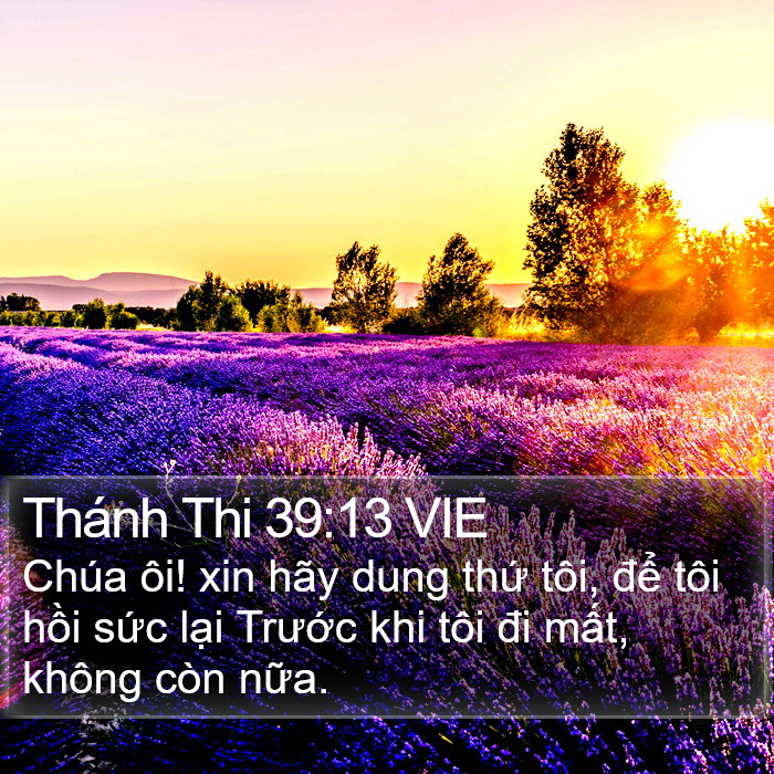 Thánh Thi 39:13 VIE Bible Study