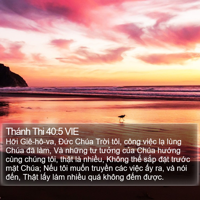 Thánh Thi 40:5 VIE Bible Study