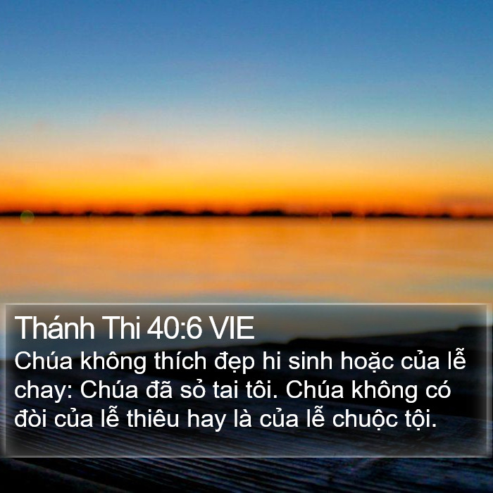 Thánh Thi 40:6 VIE Bible Study