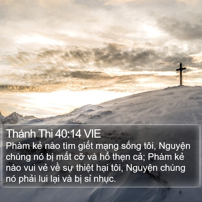 Thánh Thi 40:14 VIE Bible Study