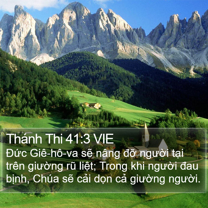 Thánh Thi 41:3 VIE Bible Study