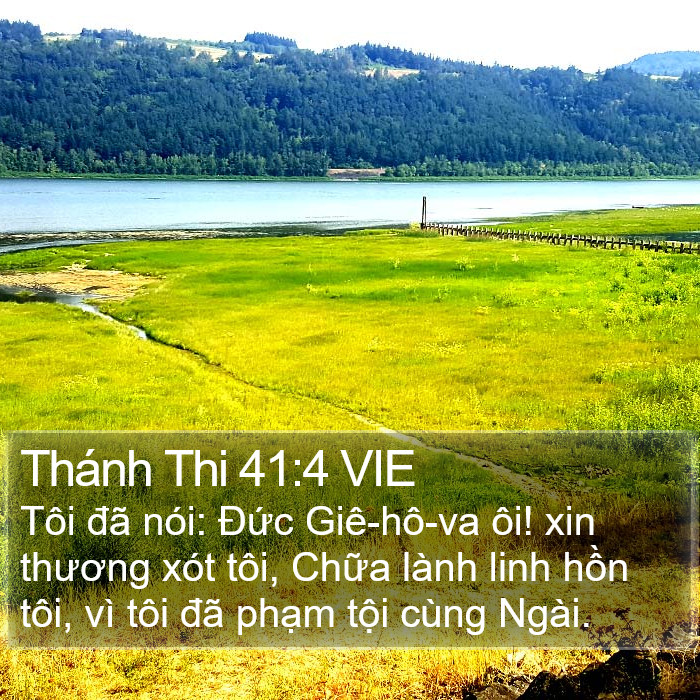 Thánh Thi 41:4 VIE Bible Study