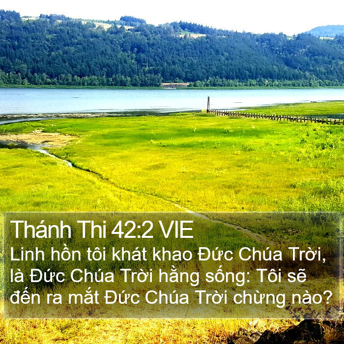 Thánh Thi 42:2 VIE Bible Study