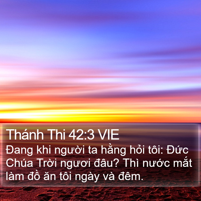 Thánh Thi 42:3 VIE Bible Study