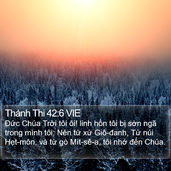 Thánh Thi 42:6 VIE Bible Study